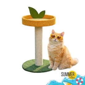Summer Vibes Orange House Arranhador com Cama para gatos