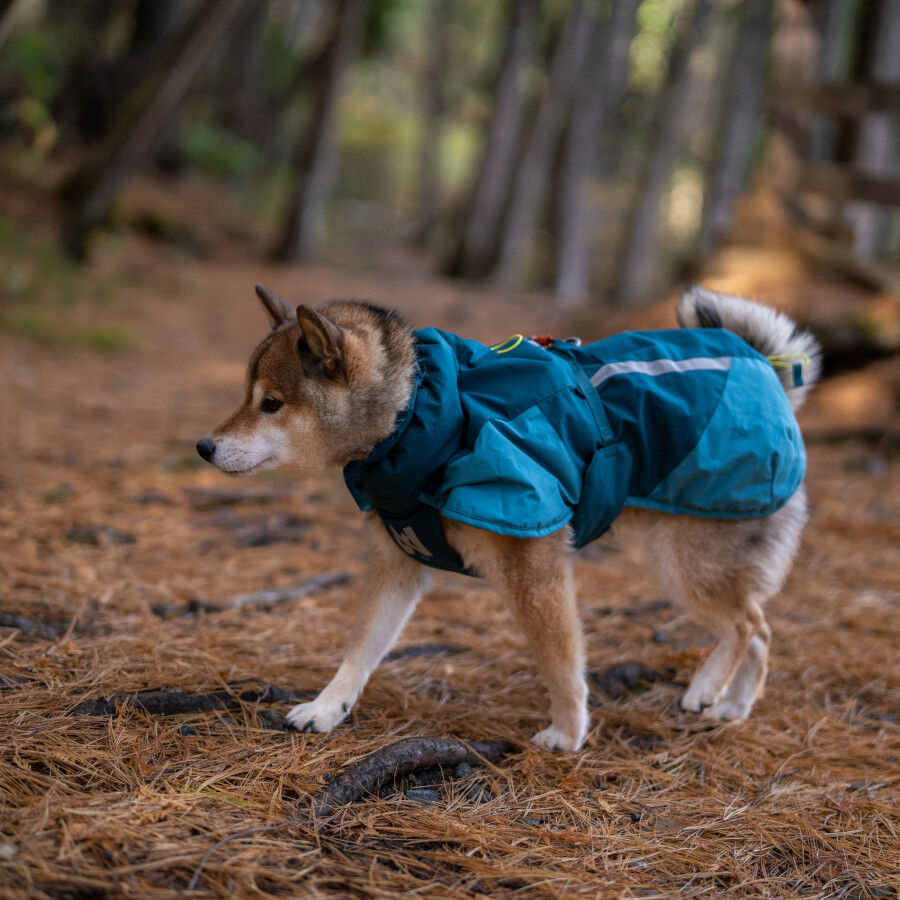 Non-stop Dogwear Glacier Casaco Imperme&aacute;vel Azul e Verde para c&atilde;es, , large Imagem n&uacute;mero 3
