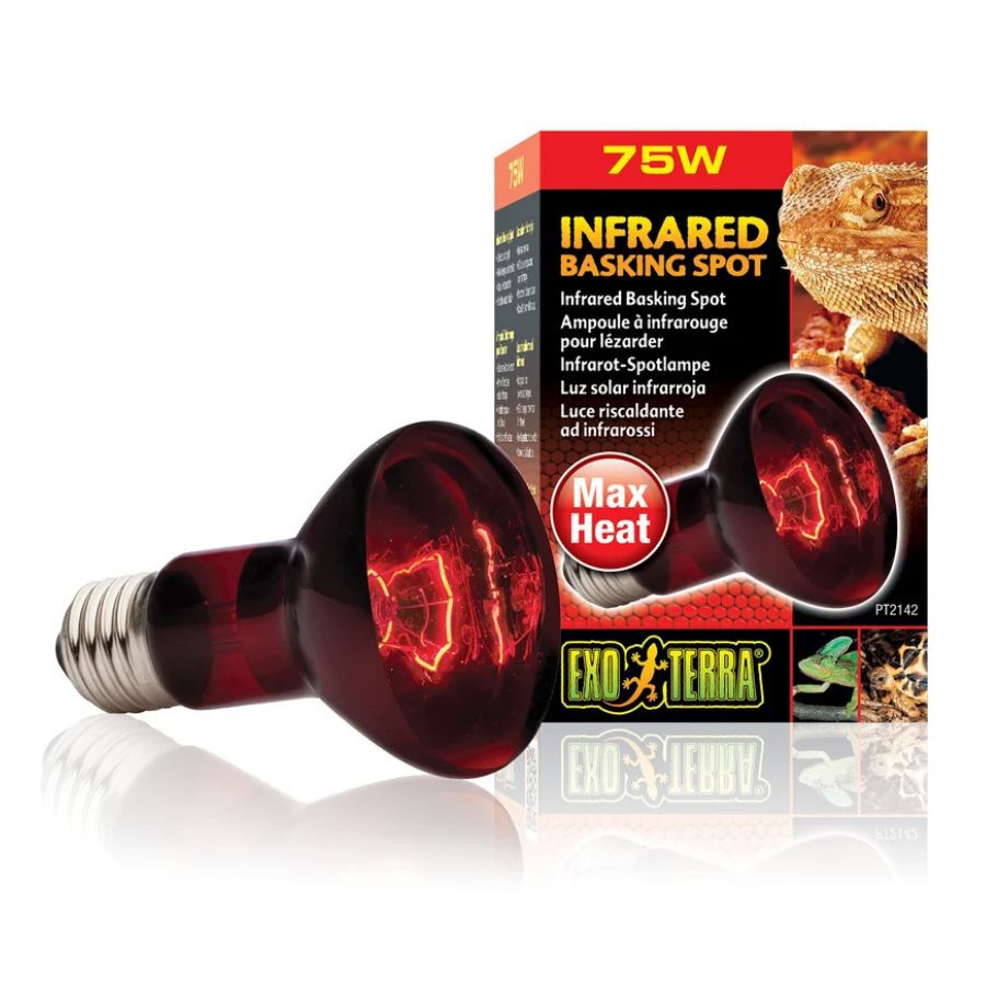 Exoterra Luz Solar infrarroja para terrarios, , large Imagem n&uacute;mero 1