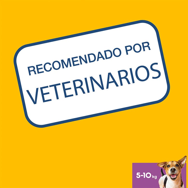 56 sticks Pedigree Dentastix Snacks Dentários para cães de porte pequeno,  Imagem número 9 56 sticks Pedigree Dentastix Snacks Dentários para cães de porte pequeno, , large Imagem número 9