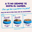 12 x 85 g Edgard & Cooper Catch of the day em molho em saquetas para gatos, , large Indicador imagem n&uacute;mero 9