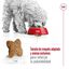 9 kg (8 + 1 kg ¡gratis!) Royal Canin Mini Adult ração para cães, , large Indicador imagem número 7
