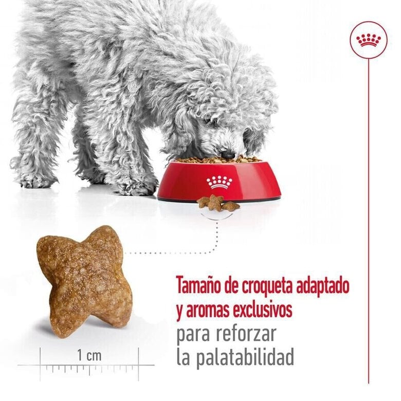 8 kg Royal Canin Mini Adult ração para cães,  Imagem número 7 8 kg Royal Canin Mini Adult ração para cães, , large Imagem número 7