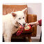 Disney Marvel Iron Man de Peluche com Corda para Cães, , large Indicador imagem número 2