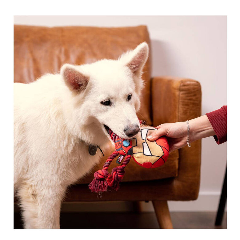 Disney Marvel Iron Man de Peluche com Corda para Cães,  Imagem número 2 Disney Marvel Iron Man de Peluche com Corda para Cães, , large Imagem número 2