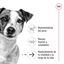 3.5 kg Royal Canin Mini 12+ Ageing ração para cães, , large Indicador imagem número 5