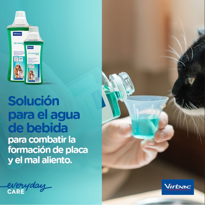 Virbac Vet Aquadent Elixir Bucal para cães e gatos,  Imagem número 4 Virbac Vet Aquadent Elixir Bucal para cães e gatos, , large Imagem número 4
