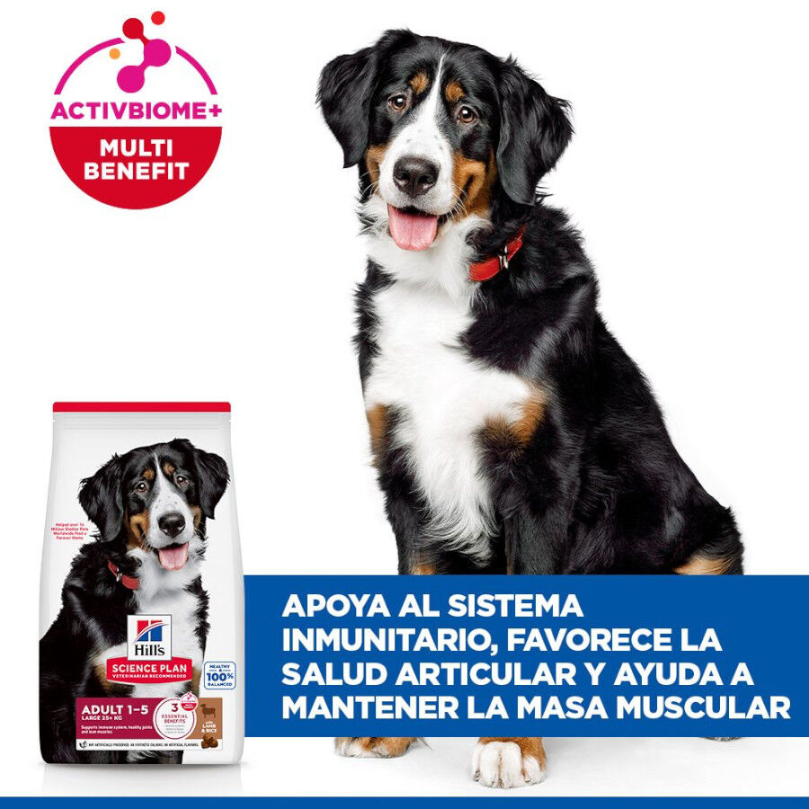 14 kg Hill's Science Plan Adult Large Cordeiro ra&ccedil;&atilde;o para c&atilde;es, , large Imagem n&uacute;mero 4