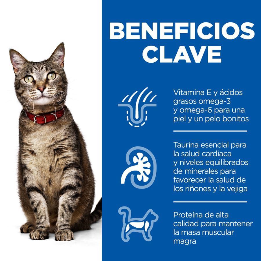 10 kg Hill's Adult Science Plan Atum ra&ccedil;&atilde;o para gatos, , large Imagem n&uacute;mero 4