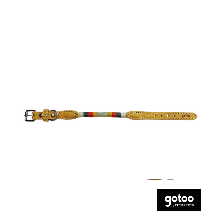 Gotoo Coleira em couro verde para c&atilde;es, , large Imagem n&uacute;mero 2