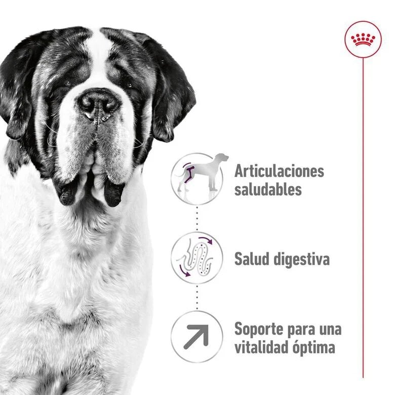 15 kg Royal Canin Adult Giant ração para cães,  Imagem número 5 15 kg Royal Canin Adult Giant ração para cães, , large Imagem número 5