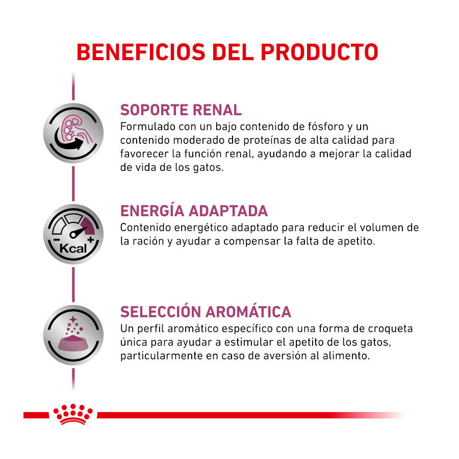 4 kg Royal Canin Veterinary Renal ra&ccedil;&atilde;o para gatos , , large Imagem n&uacute;mero 7