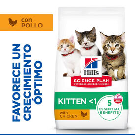 Hill's Kitten  Science Plan Frango ração 