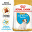 3 kg Royal Canin Puppy Jack Russell Terrier ração para cães, , large Indicador imagem número 2