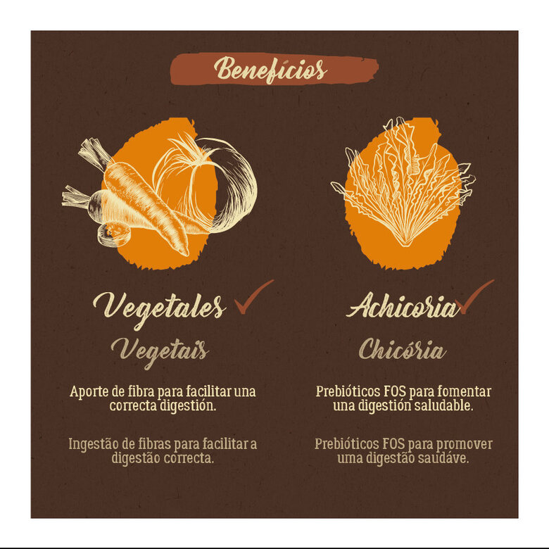 12 kg True Origins Adult Pure Frango No Grain ração para cães,  Imagem número 6 12 kg True Origins Adult Pure Frango No Grain ração para cães, , large Imagem número 6