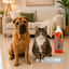 Nice Care Lava-Tudo com Inseticida para c&atilde;es e gatos, , large Indicador imagem n&uacute;mero 2