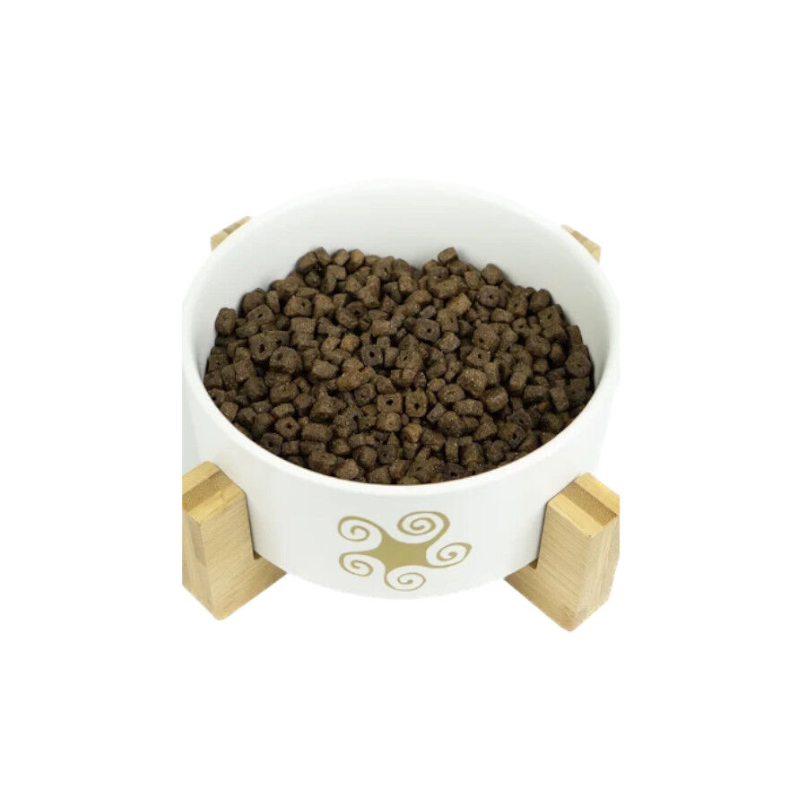 2 kg Lenda Adult Mini Atlantic Blue Fish ra&ccedil;&atilde;o para c&atilde;es, , large Imagem n&uacute;mero 3