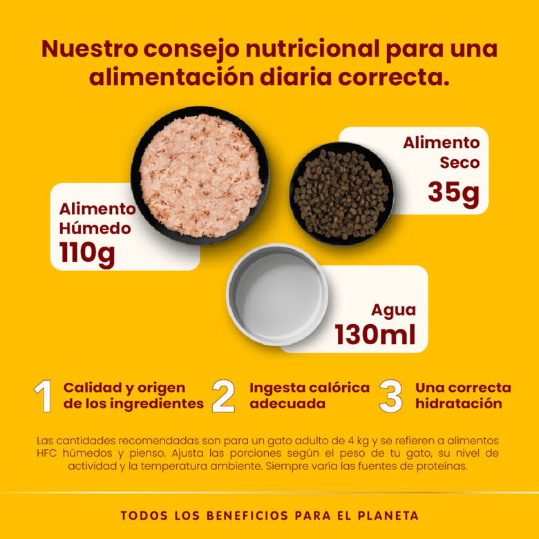 55 g  Almo Nature HFC Atum com Linguado em sachê de gelatina para gatos,  Imagem número 4 55 g  Almo Nature HFC Atum com Linguado em sachê de gelatina para gatos, , large Imagem número 4