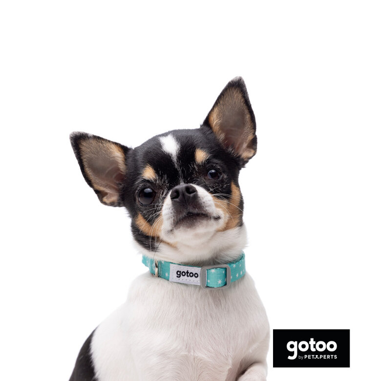Gotoo Set de Coleira e Trela estampada verde para cães,  Imagem número 12 Gotoo Set de Coleira e Trela estampada verde para cães, , large Imagem número 12