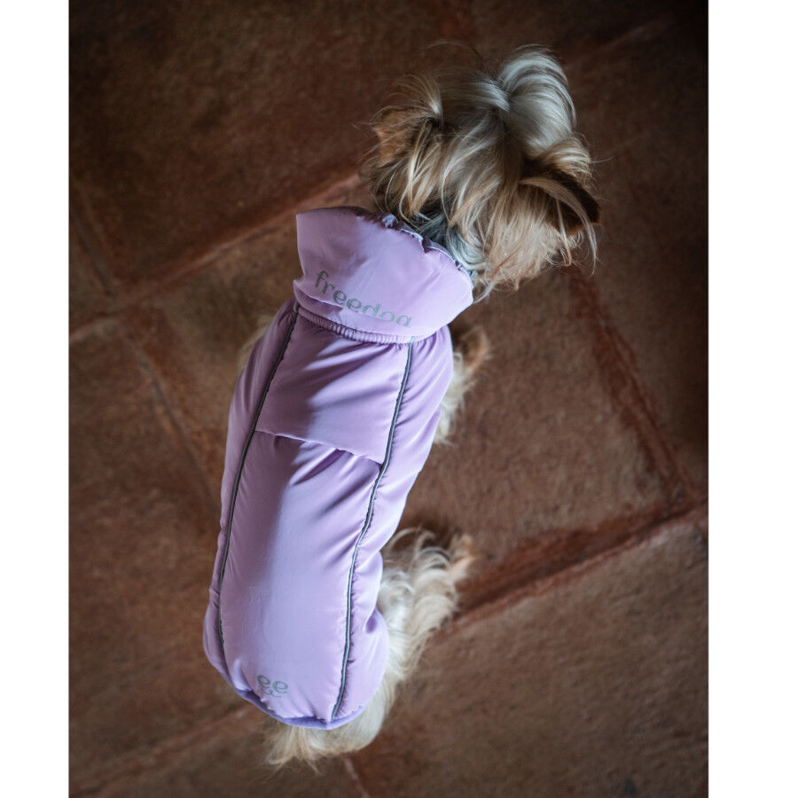 Freedog Winterhug Capa de Chuva roxa para c&atilde;es, , large Imagem n&uacute;mero 4