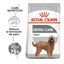 9 kg Royal Canin Maxi Dental Care ração para cães, , large Indicador imagem número 2