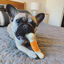 Nylabone Osso Mordedor Dentário com Sabor a Bacon para cães, , large Indicador imagem número 2