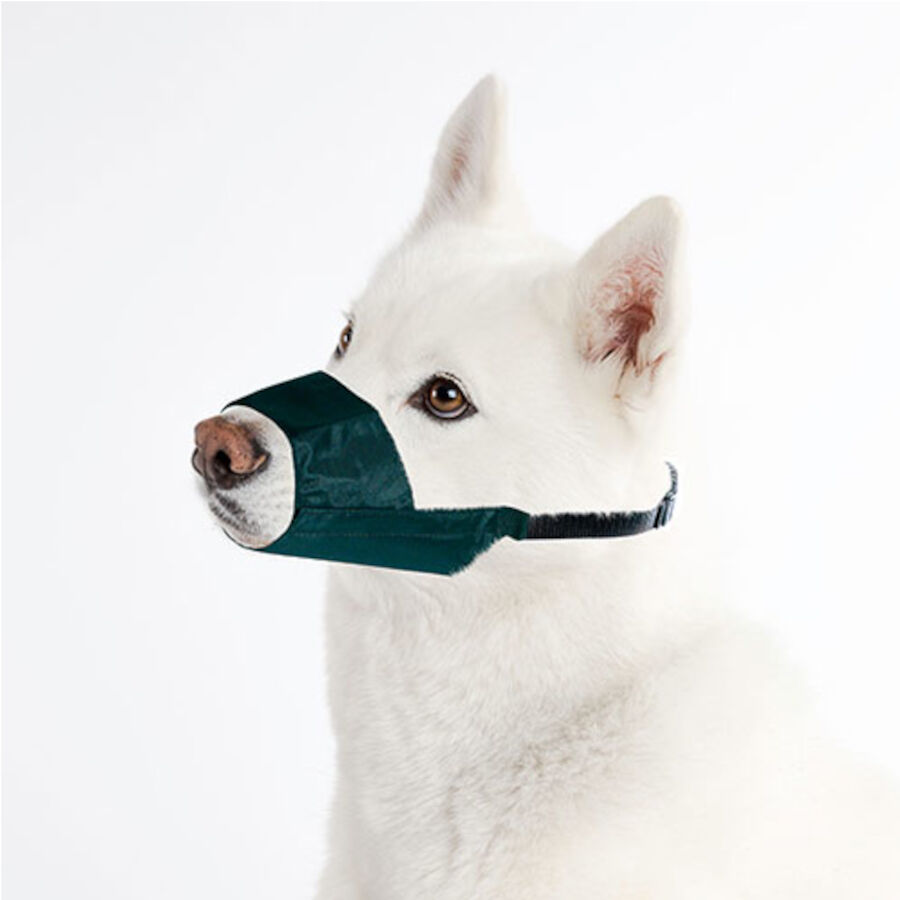 TK-Pet Exclusive A&ccedil;aime para c&atilde;es , , large Imagem n&uacute;mero 1