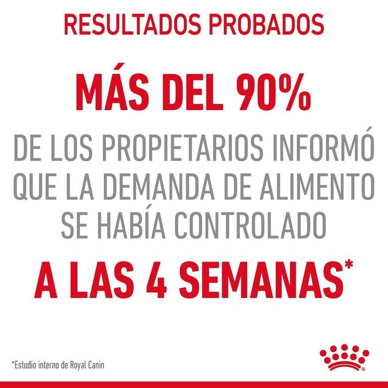 85 g Royal Canin Nutrition Appetite Control Care geleia para gatos,  Imagem número 5 85 g Royal Canin Nutrition Appetite Control Care geleia para gatos, , large Imagem número 5