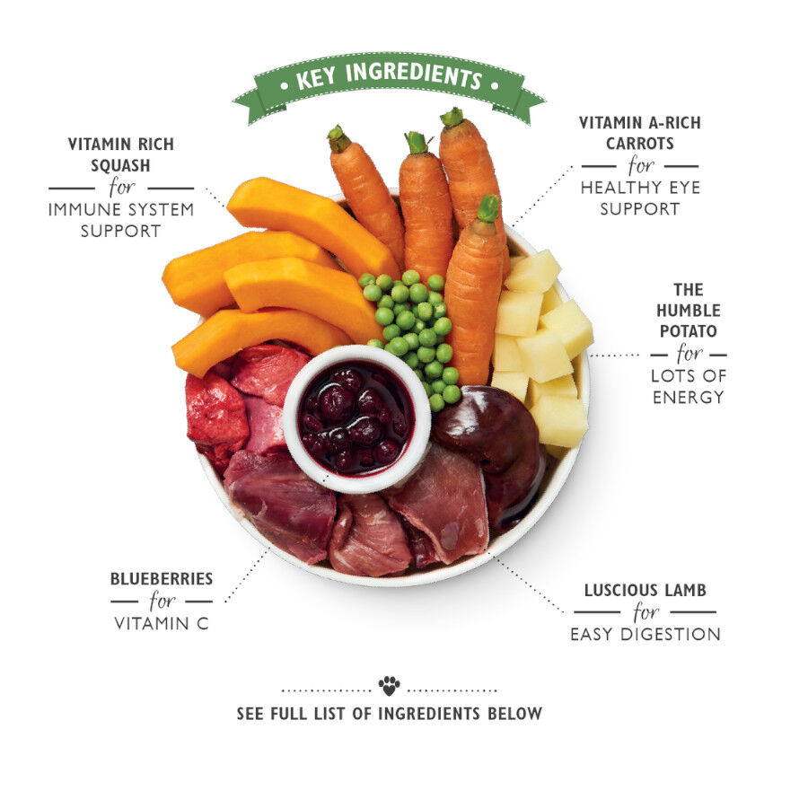 400 g Lily's Kitchen cordeiro lata para c&atilde;es , , large Imagem n&uacute;mero 2