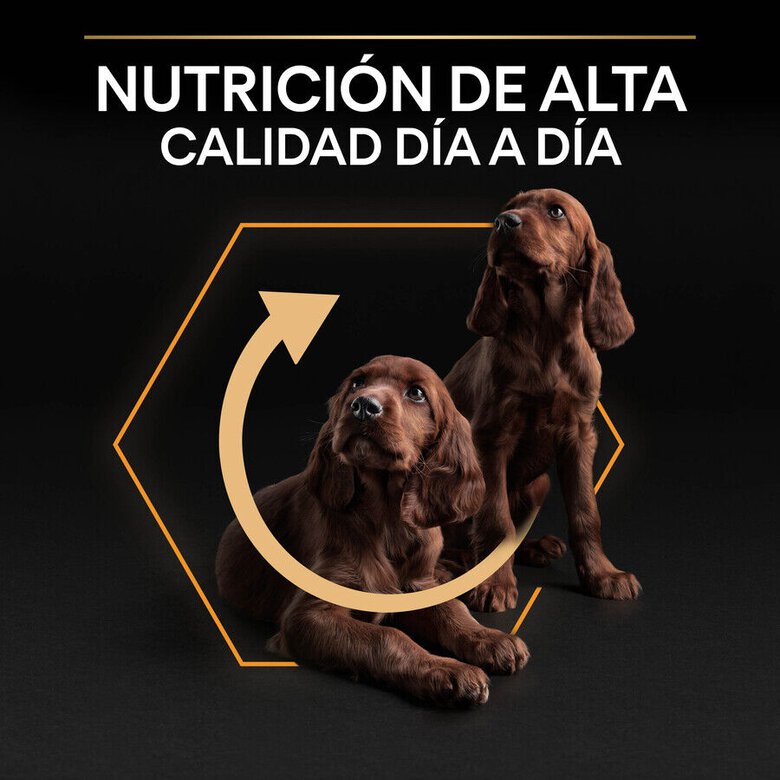 3 kg Pro Plan Adult Small e Mini Frango ração para cães,  Imagem número 8 3 kg Pro Plan Adult Small e Mini Frango ração para cães, , large Imagem número 8