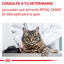 12 sobres x 85 g Royal Canin Mature Consult Balance Paté saqueta para gatos, , large Indicador imagem número 8