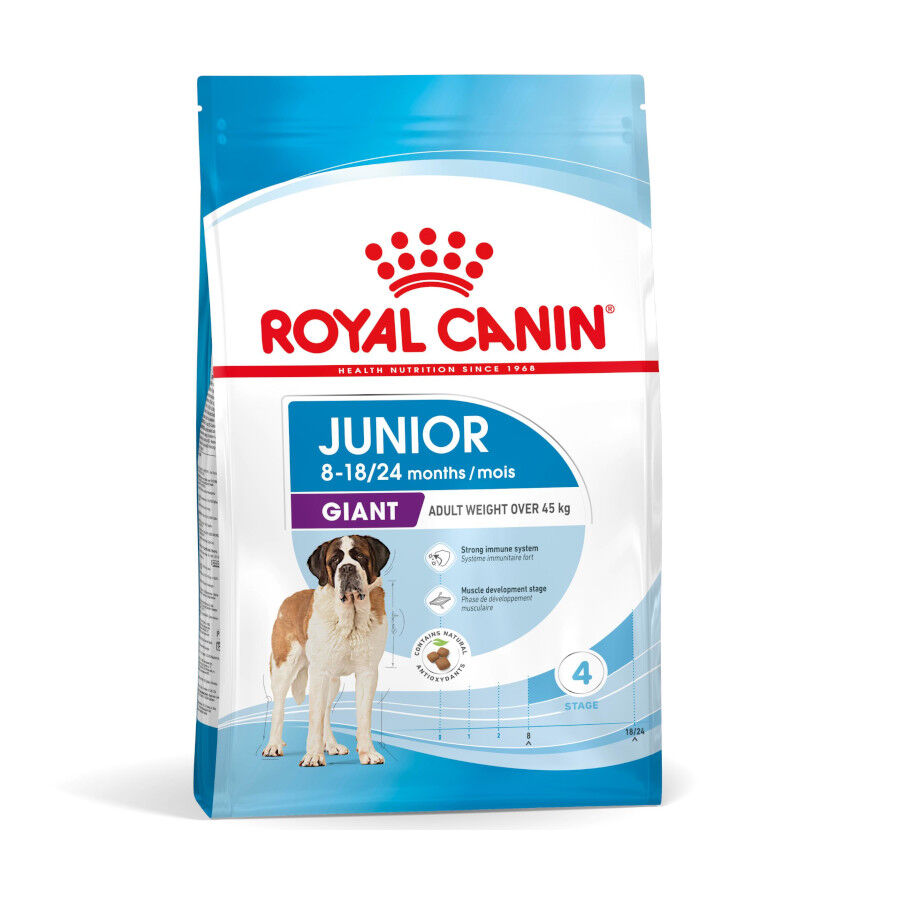 15 kg Royal Canin Junior Giant ra&ccedil;&atilde;o para c&atilde;es, , large Imagem n&uacute;mero 1