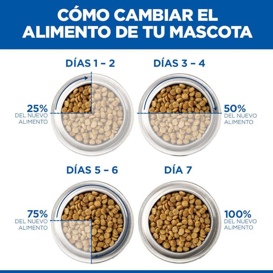 363 g Hill's Science Plan Mature Comida h&uacute;mida para c&atilde;es s&eacute;niores, , large Imagem n&uacute;mero 8