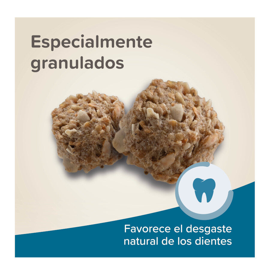 Beaphar Care + ra&ccedil;&atilde;o para coelhos Jr super premium, , large Imagem n&uacute;mero 6