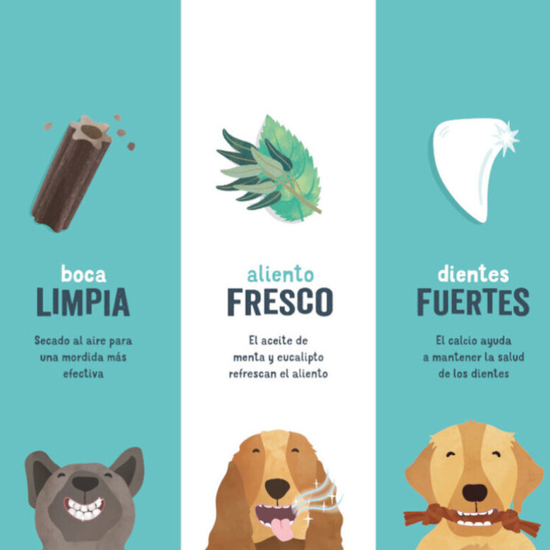 7 sticks Edgard y Cooper Snacks Dentários Adult Large Maçã e Eucalipto para cães,  Imagem número 5 7 sticks Edgard y Cooper Snacks Dentários Adult Large Maçã e Eucalipto para cães, , large Imagem número 5