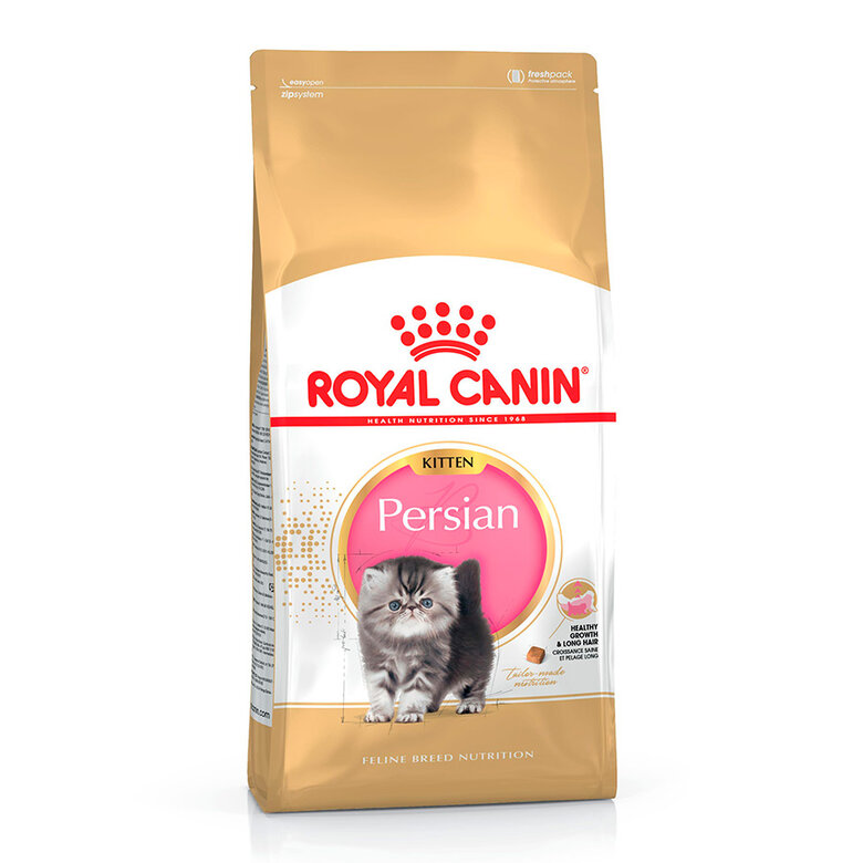 10 kg Royal Canin Kitten Persa ração para gatinhos,  Imagem número 1 10 kg Royal Canin Kitten Persa ração para gatinhos, , large Imagem número 1