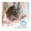 Beaphar Care+ Ração para degus, , large Indicador imagem número 5