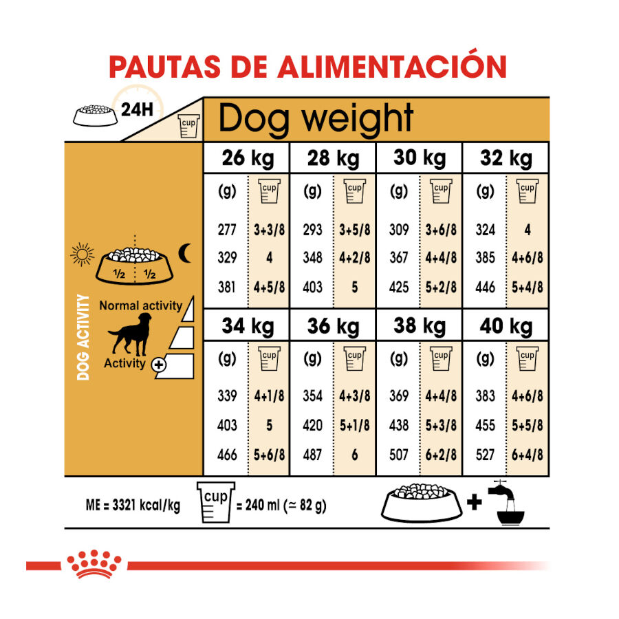 12 kg Royal Canin Adult Labrador Sterilised ra&ccedil;&atilde;o para c&atilde;es, , large Imagem n&uacute;mero 8