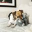 Kong Comfort Kiddos Elefante, , large Indicador imagem número 2