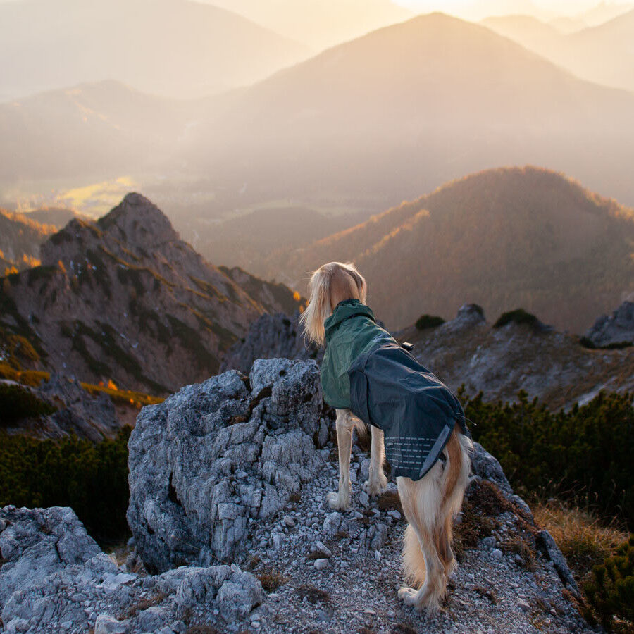 Non-stop dogwear Fjord Capa de chuva imperme&aacute;vel preto e verde para c&atilde;es, , large Imagem n&uacute;mero 7
