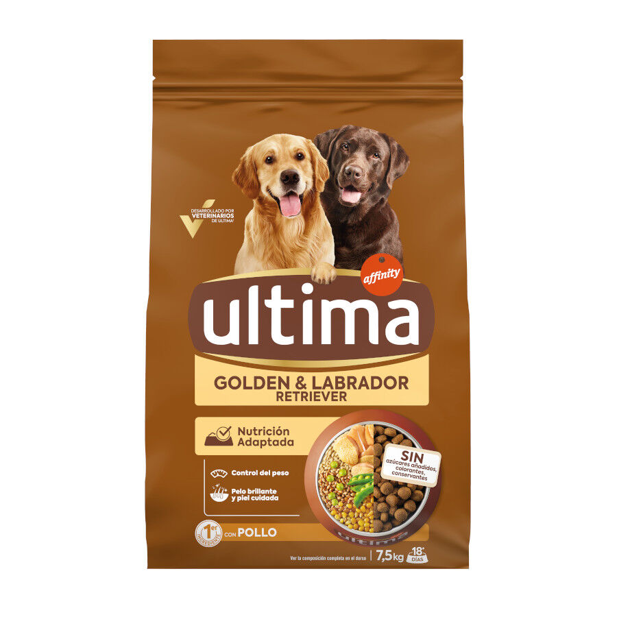 pienso_perros_ultima_labrador_retriever_14kg_ULT922123_M.jpg Imagem n&uacute;mero 1