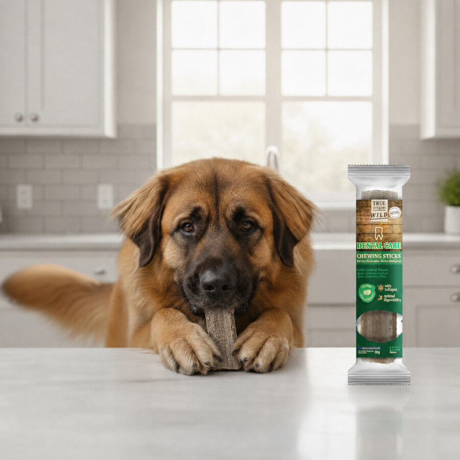 1 ud. True Origins Wild Dental Care Chewing Sticks Snack para perros, , large Imagem n&uacute;mero 1