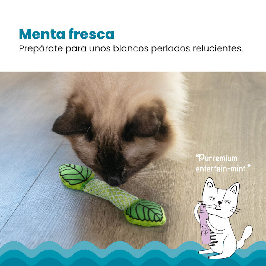 Catstages Fresh Breath Stick Peluche Dent&aacute;rio com Menta para gatos, , large Imagem n&uacute;mero 2