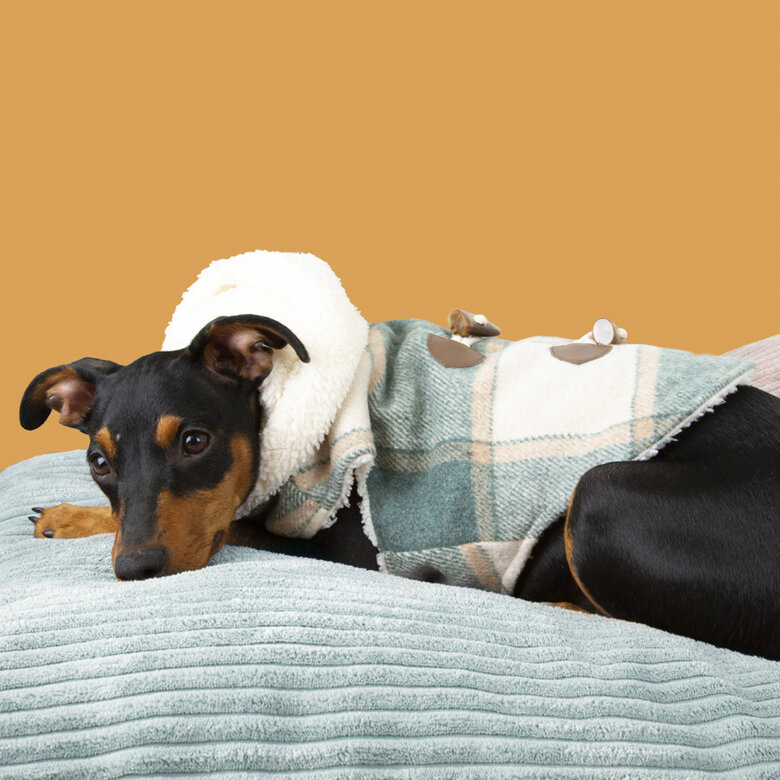 Outech Casaco Xadrez para cães,  Imagem número 3 Outech Casaco Xadrez para cães, , large Imagem número 3