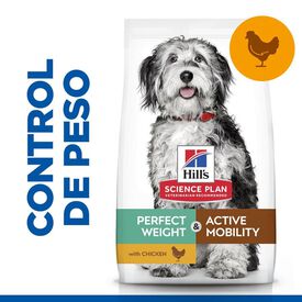 Hill's Science Plan Perfect Weight y Active Mobility Medium Frango ração para cães