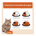 Wellness Core Adult Frango e Peru ração para gatos , , large image number null