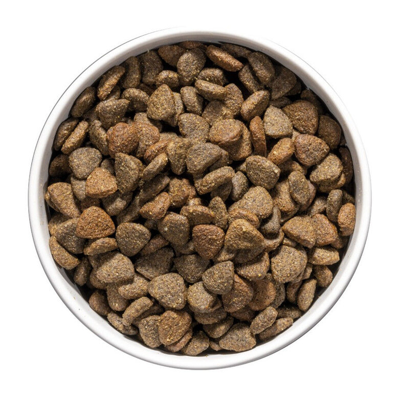 Ownat Care Mobility ração para cães,  Imagem número 2 Ownat Care Mobility ração para cães, , large Imagem número 2