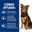 354 g Hill's Prescription Diet Metabolic Controlo de Peso para cães, , large Indicador imagem número 4
