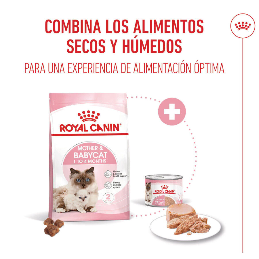 195 g Royal Canin Mother Baby mousse latas para gatos, , large Imagem n&uacute;mero 7