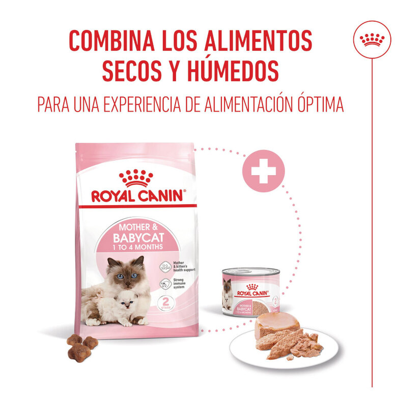 195 g Royal Canin Mother Baby mousse latas para gatos,  Imagem número 7 195 g Royal Canin Mother Baby mousse latas para gatos, , large Imagem número 7